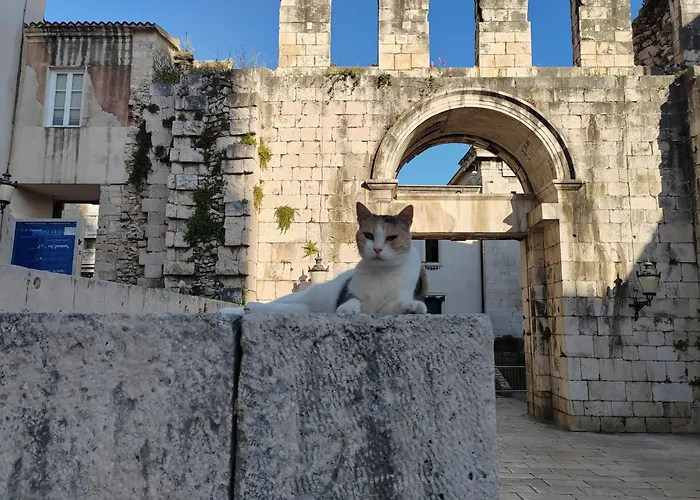 호스텔 It 스플리트