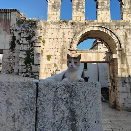 ホステル It スプリト